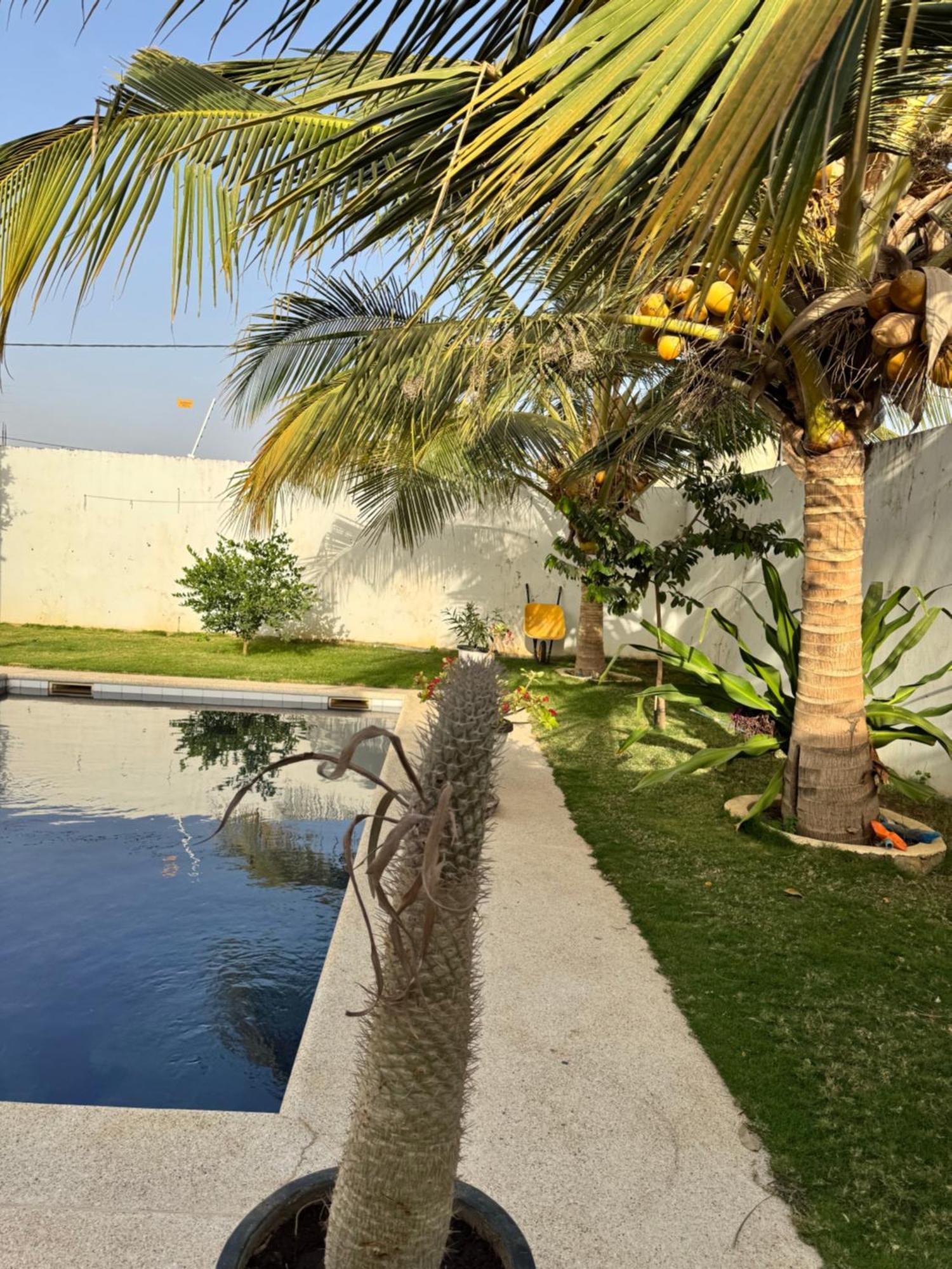 La Baraka, Extravagant Villa For 8 With Pool In Saly Gandigal Zewnętrze zdjęcie